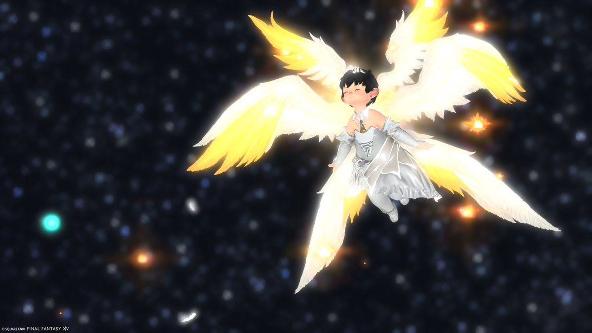 piquechannel's tweet photo. 6枚羽、とれたぞ！ #FF14 https://t.co/iZS0szmpRE