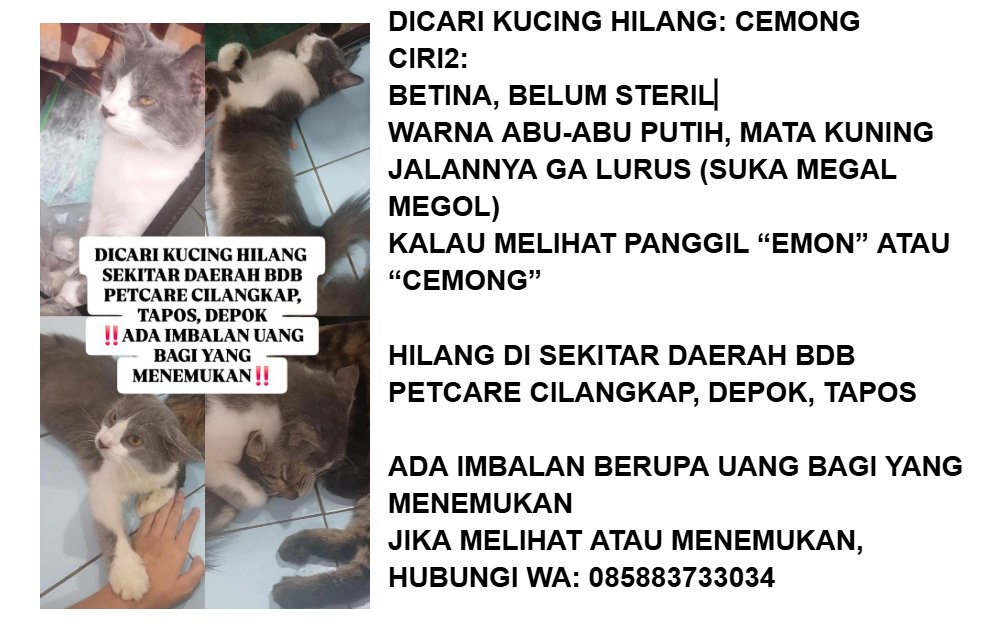 v0x0v_8i8__'s tweet photo. HALO TEMAN-TEMAN, BOLEH TOLONG BANTU SHARE GA YA? TERIMA KASIH😭😭 https://t.co/mxqpWic1yP