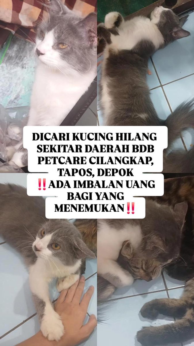 v0x0v_8i8__'s tweet photo. HALO TEMAN-TEMAN, BOLEH TOLONG BANTU SHARE GA YA? TERIMA KASIH😭😭 https://t.co/mxqpWic1yP