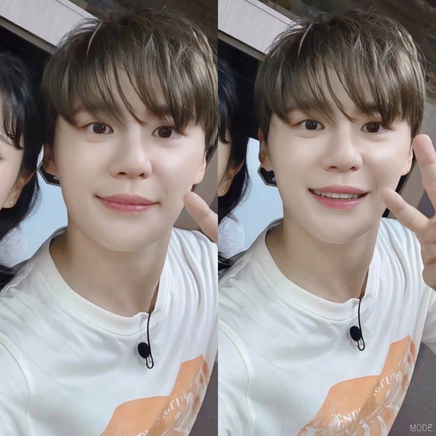 똑똑똑 tweet media
