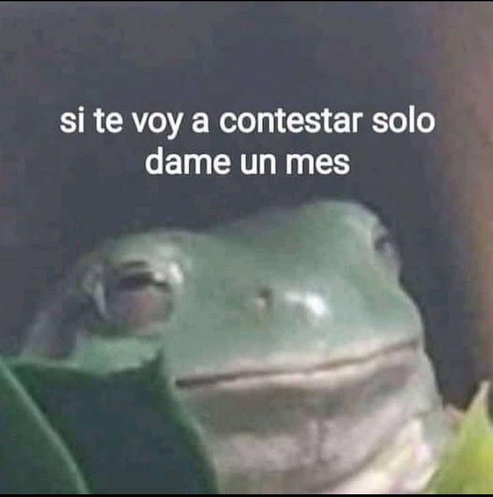 carlaconwifi's tweet photo. yo con mis correos del trabajo 😂 https://t.co/ZpOG4PkiCu