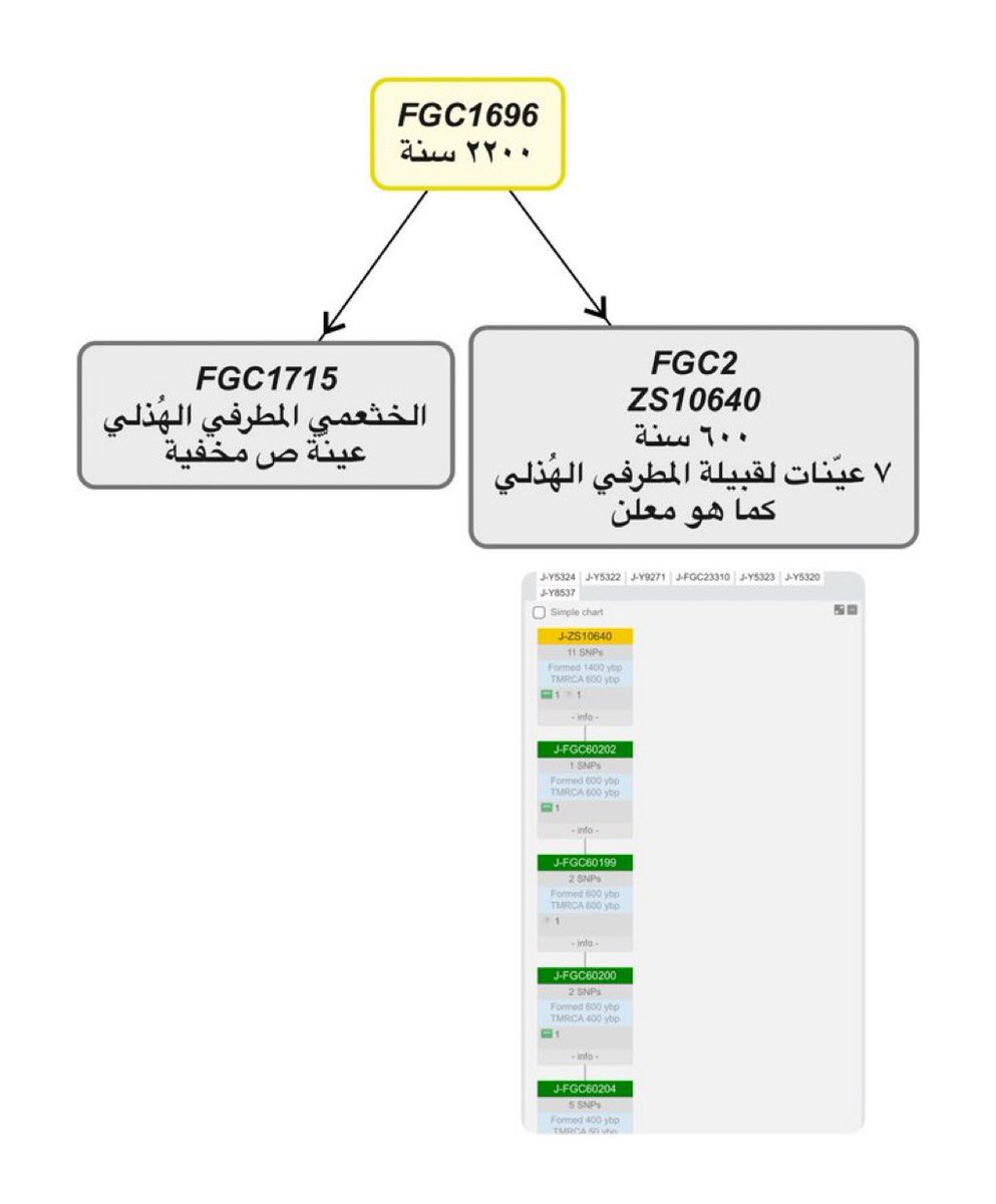 جنرال⭐️ tweet media