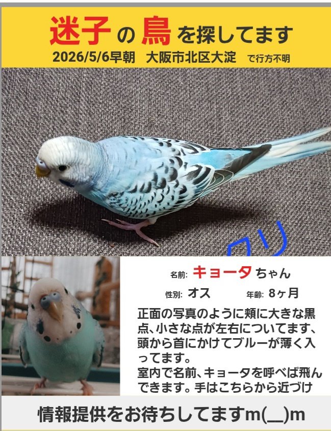 きょーた迷子 tweet media