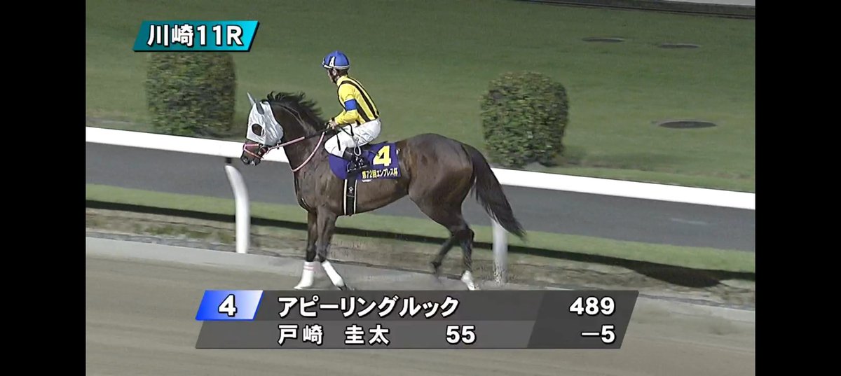o5TxEZmF65aMIIp's tweet photo. #川崎競馬11R #エンプレス杯キヨフジ記念 #jpnII #重
#メモリアカフェ ちゃん
#プロミストジーン ちゃん
#アピーリングルック ちゃん
#マーブルマウンテン ちゃん https://t.co/rcUmnH2FtA