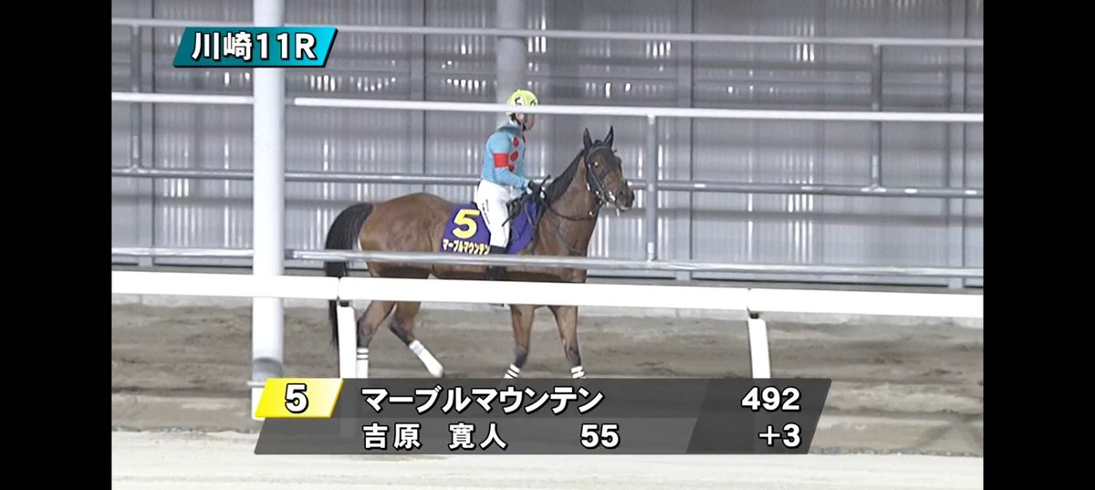 o5TxEZmF65aMIIp's tweet photo. #川崎競馬11R #エンプレス杯キヨフジ記念 #jpnII #重
#メモリアカフェ ちゃん
#プロミストジーン ちゃん
#アピーリングルック ちゃん
#マーブルマウンテン ちゃん https://t.co/rcUmnH2FtA