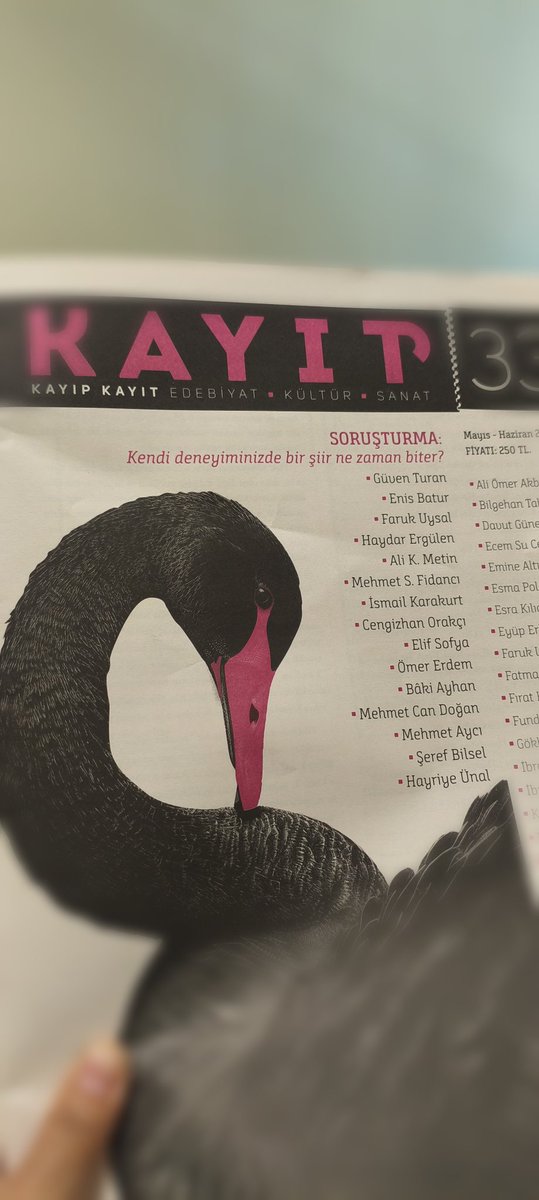 Nilüfer tweet media