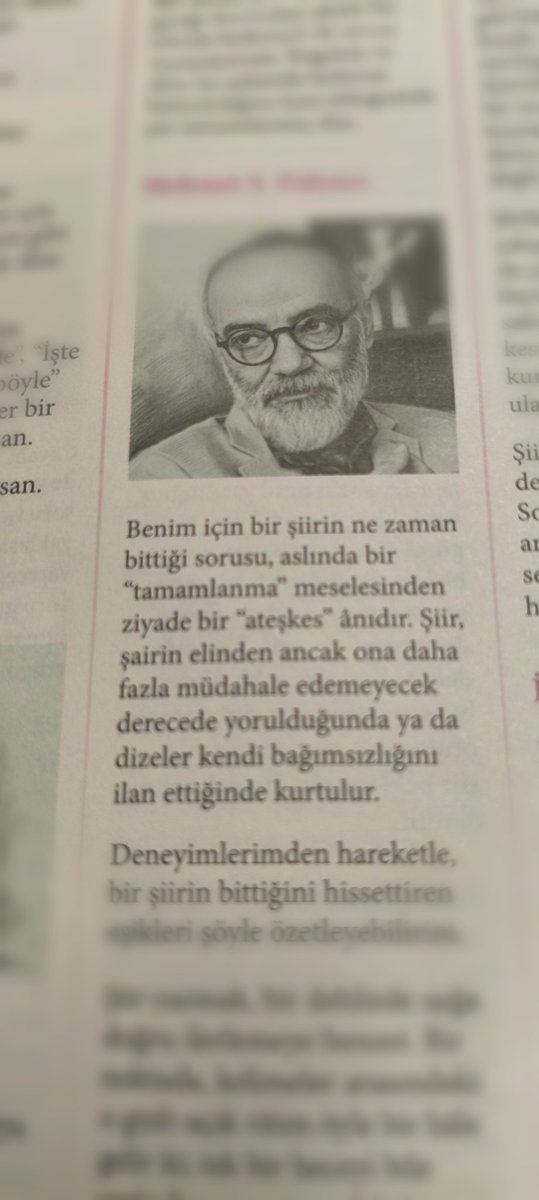 Nilüfer tweet media