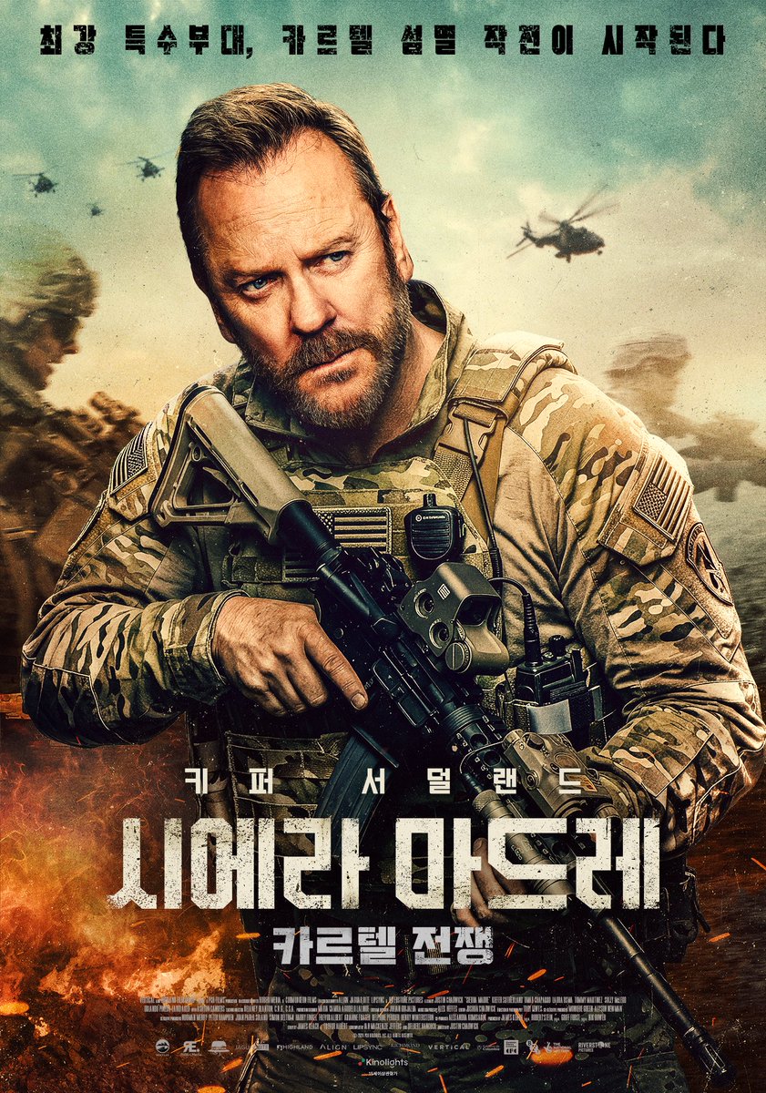 키노라이츠 tweet media