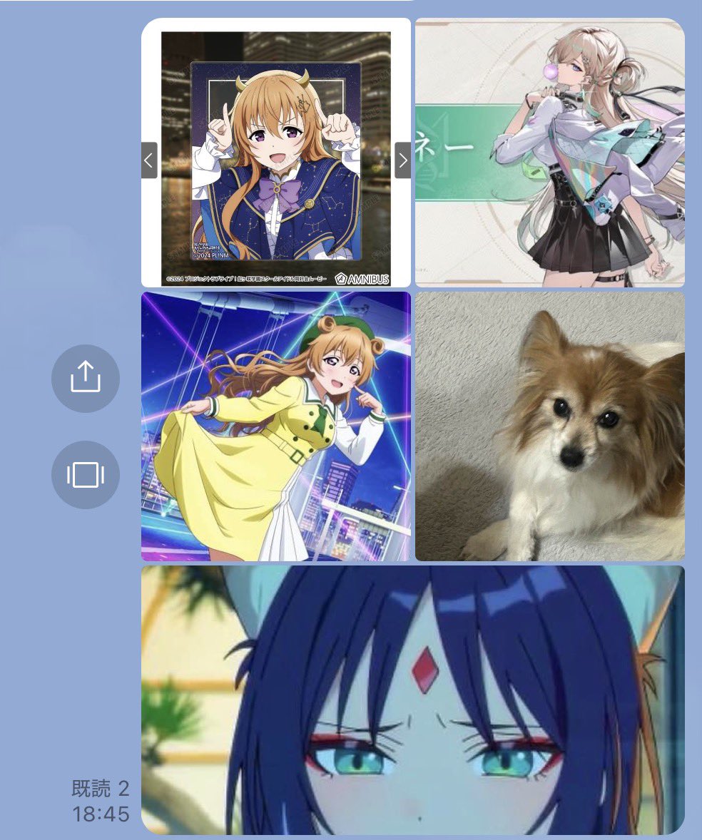 私は、こちら… あれ、1匹本物(うちの愛犬)が…