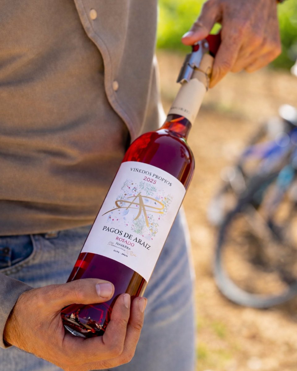 JDicoval's tweet photo. Un rosado que representa a toda una denominación 🍷 

#PagosdeAraizRosado ha sido seleccionado como #VinoRosado D.O. Navarra en la Selección Vinos D.O. Navarra 2026, un reconocimiento que distingue a los vinos que mejor representan la calidad y la identidad de la denominación. https://t.co/QgM0lxul0G
