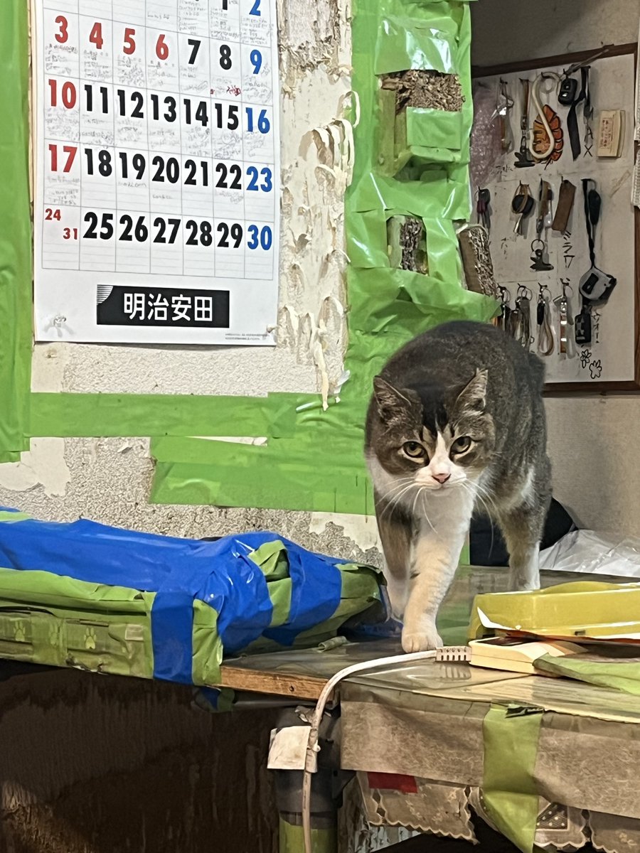 ばるばる tweet media