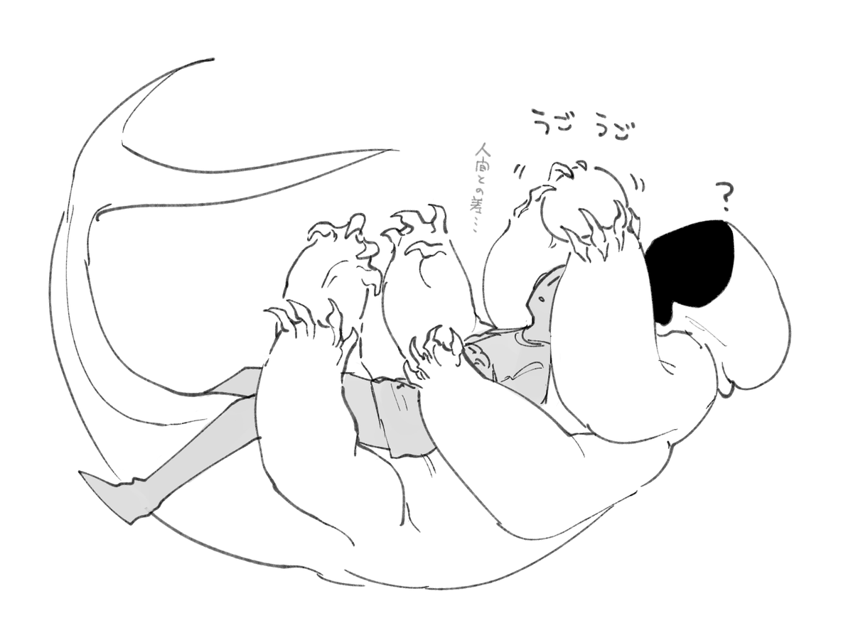 素数 tweet media