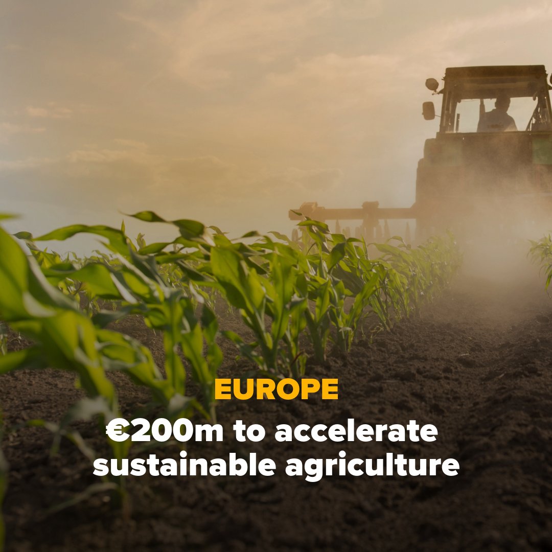 European Investment Bank tweet media