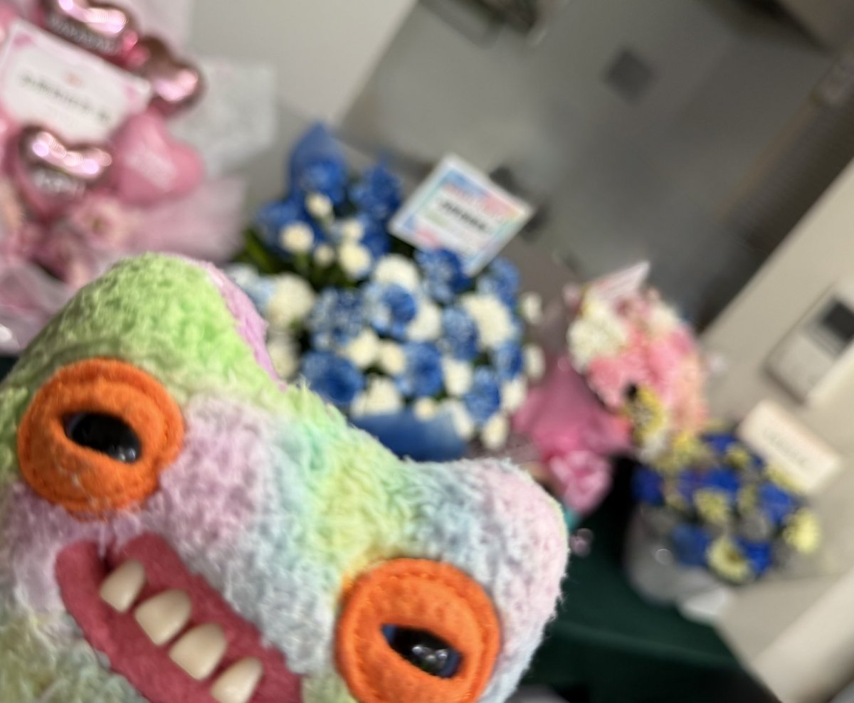 丸岡和佳奈 tweet media