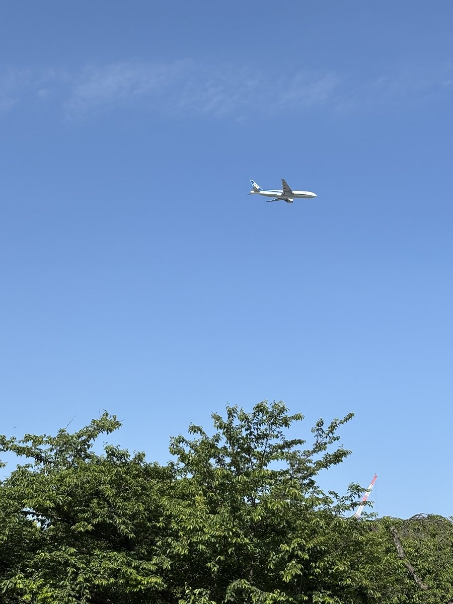 szzzup_8's tweet photo. 今年は芍薬に間に合った
空が青くて泣きそうになった https://t.co/0nTG0xk3Hu