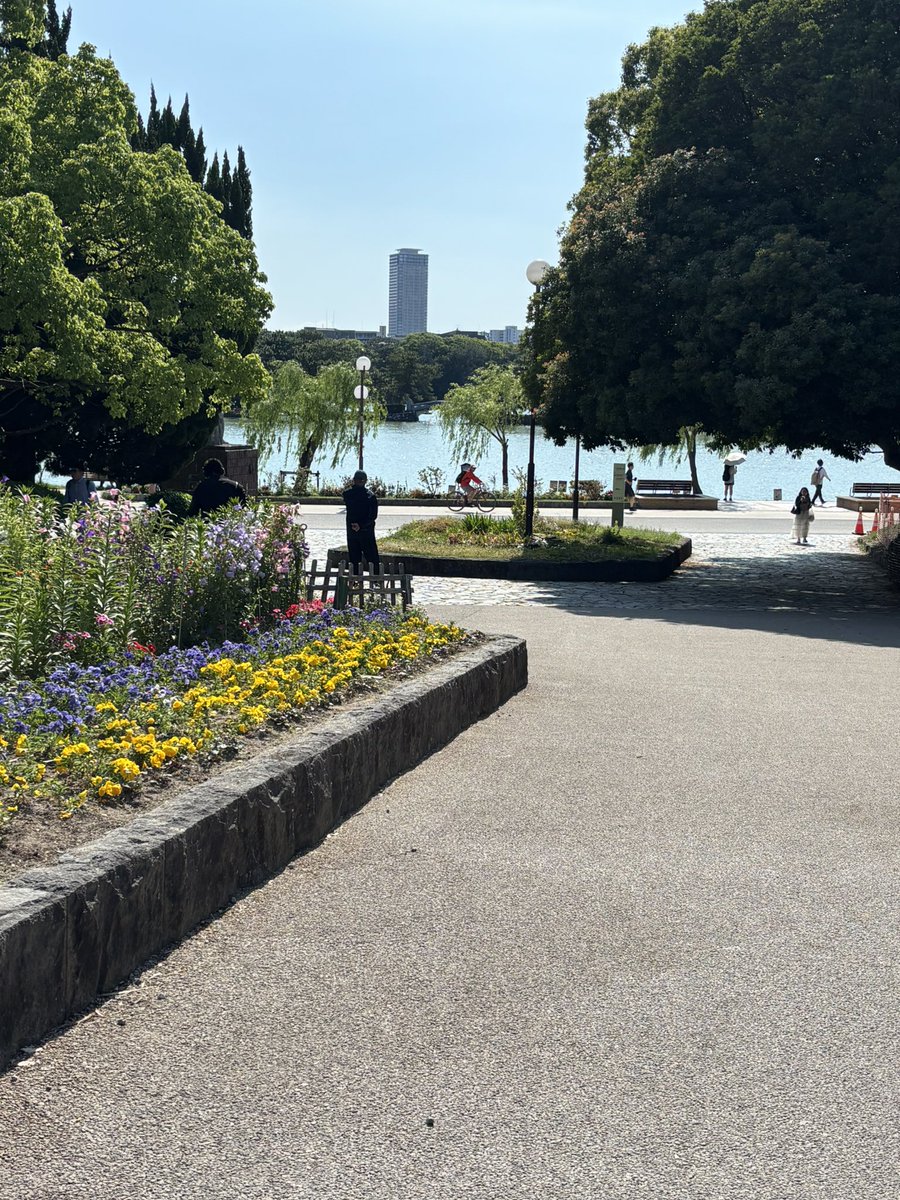 szzzup_8's tweet photo. 今年は芍薬に間に合った
空が青くて泣きそうになった https://t.co/0nTG0xk3Hu