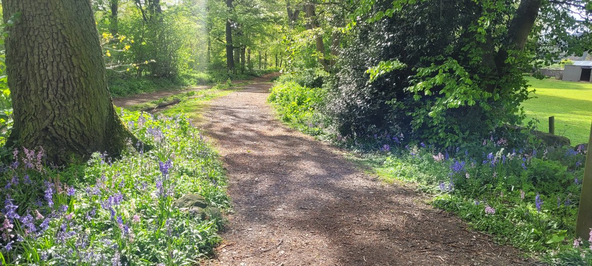 Catbell74's tweet photo. Another day's run, and an improvement of 4 mins off the 5K time. Slow, but effective #recovery ๐ #running #runr #scottishborders #crohns #motivated #innerleithen @runr_uk @VirtualRunnerUK @CrohnsColitisUK @TweedGo @REDJanuaryUK @TheRunningEduc1 https://t.co/A0spoBUqA3