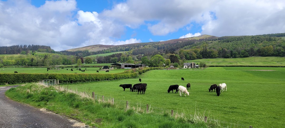 Catbell74's tweet photo. Another day's run, and an improvement of 4 mins off the 5K time. Slow, but effective #recovery ๐ #running #runr #scottishborders #crohns #motivated #innerleithen @runr_uk @VirtualRunnerUK @CrohnsColitisUK @TweedGo @REDJanuaryUK @TheRunningEduc1 https://t.co/A0spoBUqA3