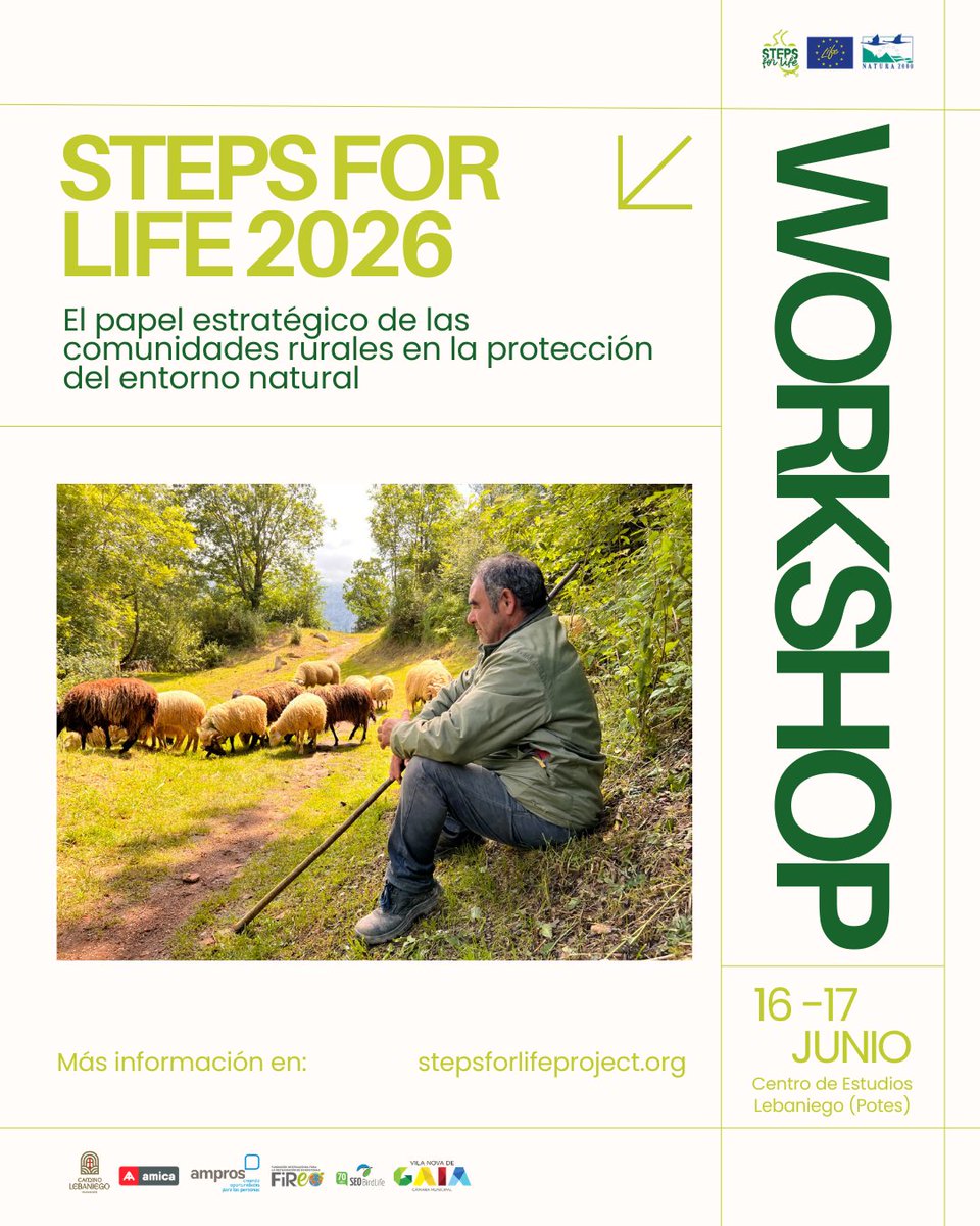 StepsforLIFE2's tweet photo. 🌿📚16–17 junio | Potes
Workshop STEPS for LIFE 2026 sobre biodiversidad, restauración ecológica y el papel de las comunidades rurales en la conservación del territorio.

INSCRIPCIONES: https://t.co/afk85k8Zhp

#StepsForLIFE #Workshop2026 https://t.co/gq7OnfV4Hp
