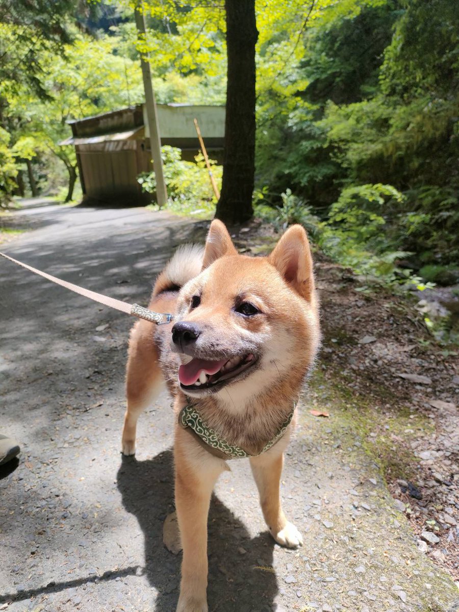 こづかい万歳の妻 tweet media
