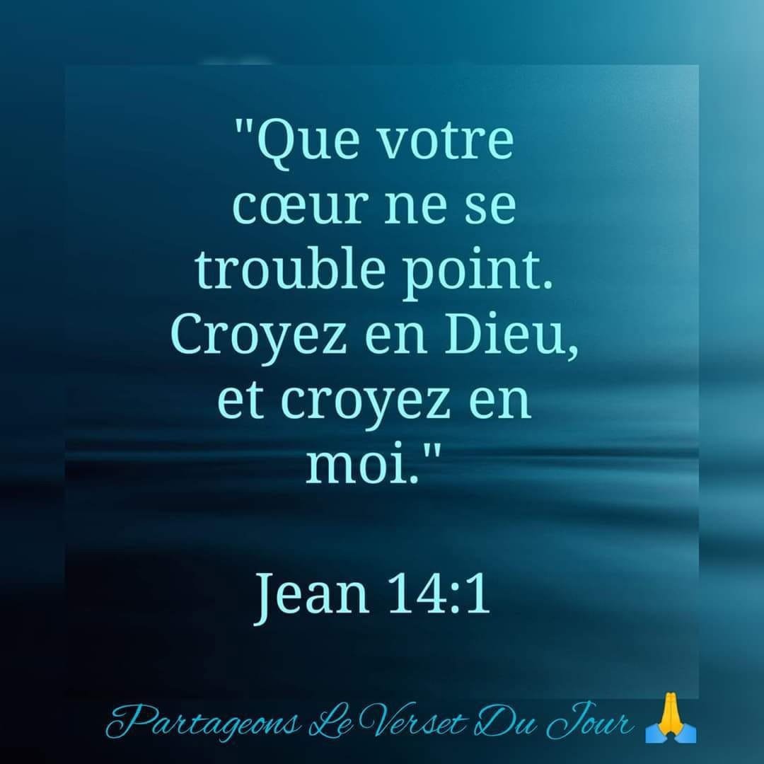 Anne VAUZANGES tweet media