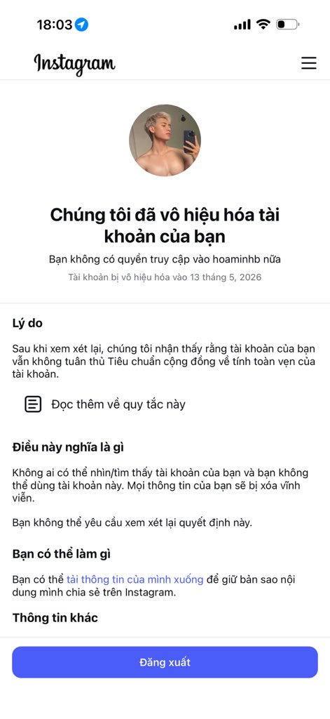 Hoa Minh tweet media