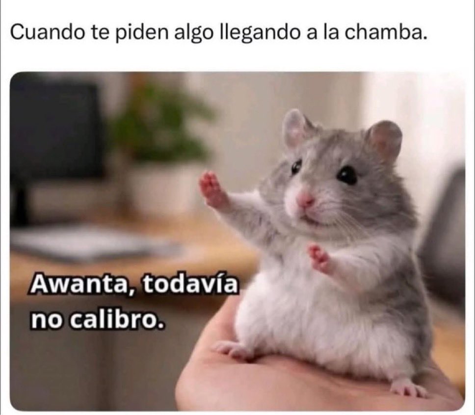 Fabiolacarolina tweet media