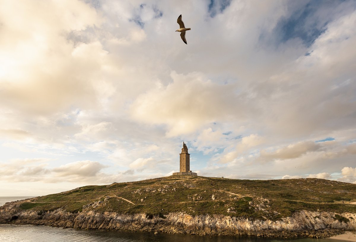 Torre de Hércules tweet media