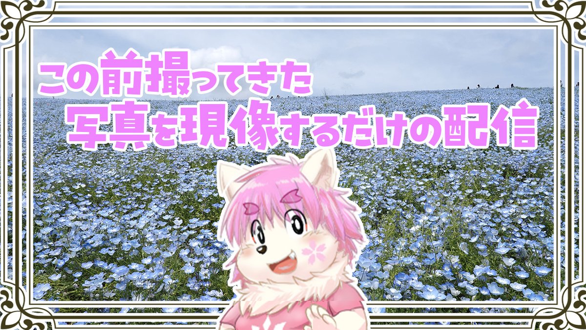 ねこぽん様確認用★クレイビング お仕事遅くなっちゃったから21時から配信！！！ 今日はゲームじゃ