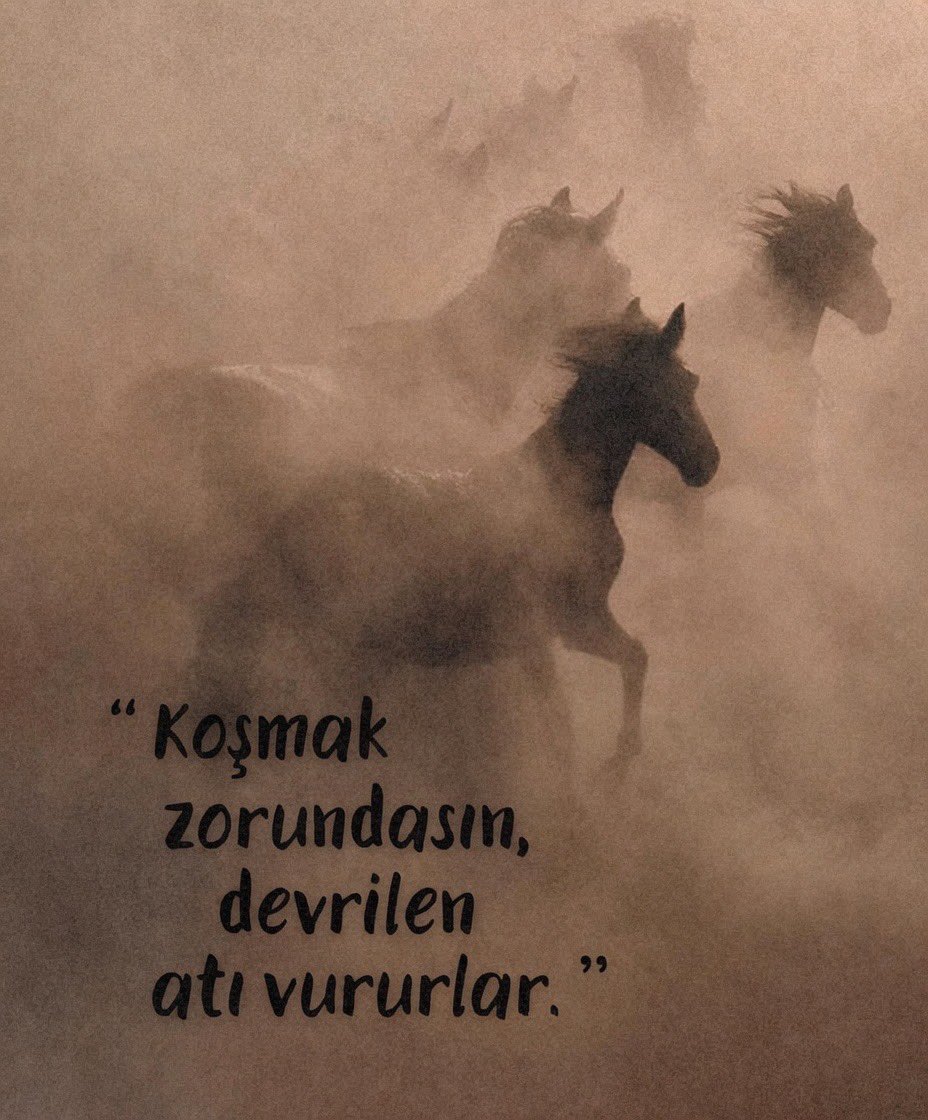 xmentalactivity's tweet photo. “Koşmak zorundasın; devrilen atı vururlar.” https://t.co/Q9MdRHbmmE