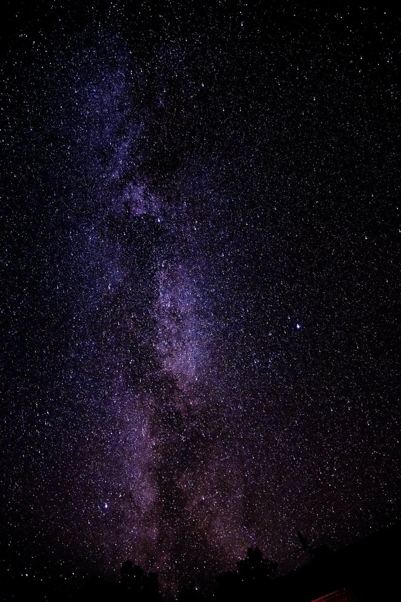 Night Sky Now tweet media