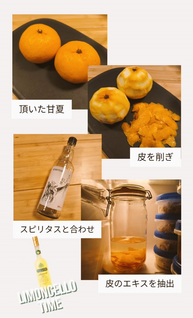 Maylaw/めーろー tweet media