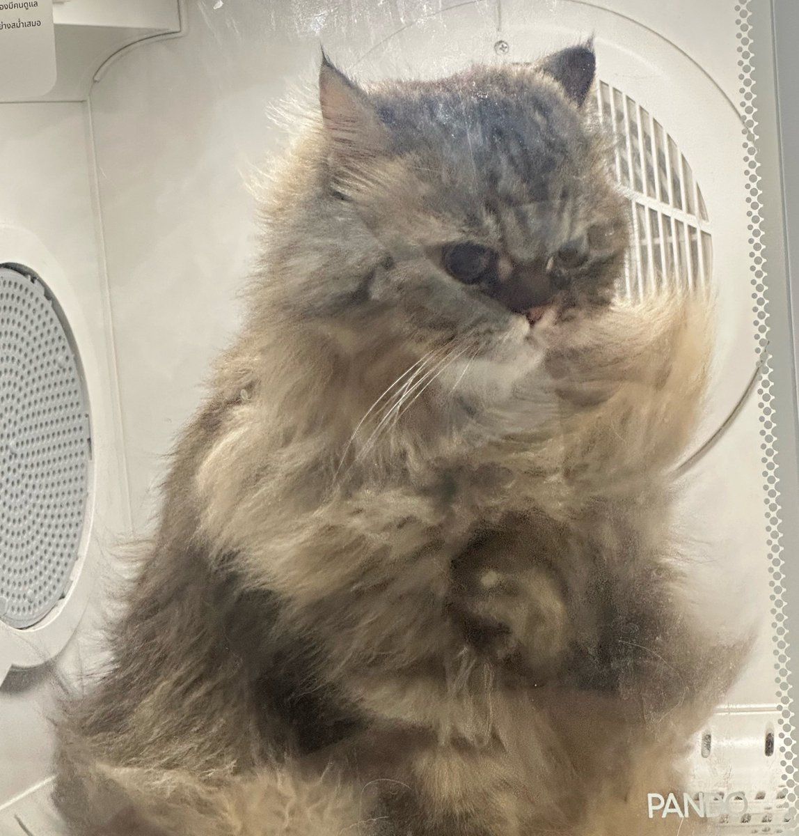 นีนี่ฮุนฮุนเป็นน้องพี่หมี🐻🐱 tweet media