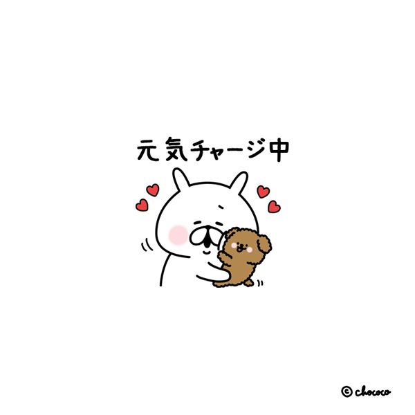 chococo@ゆるうさぎ tweet media