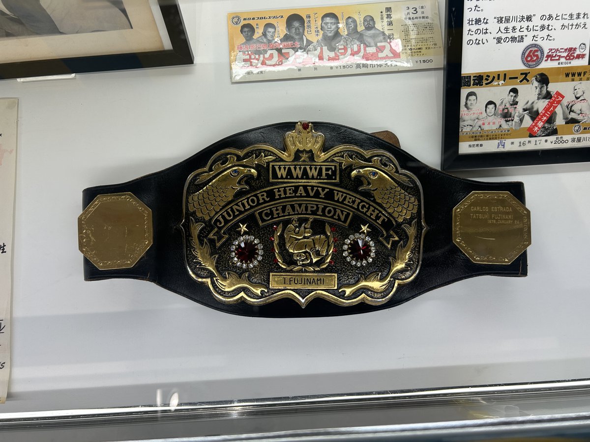 🐲藤波55周年🐯タイガー45周年】 京都猪木展では、 デビュー55周年を