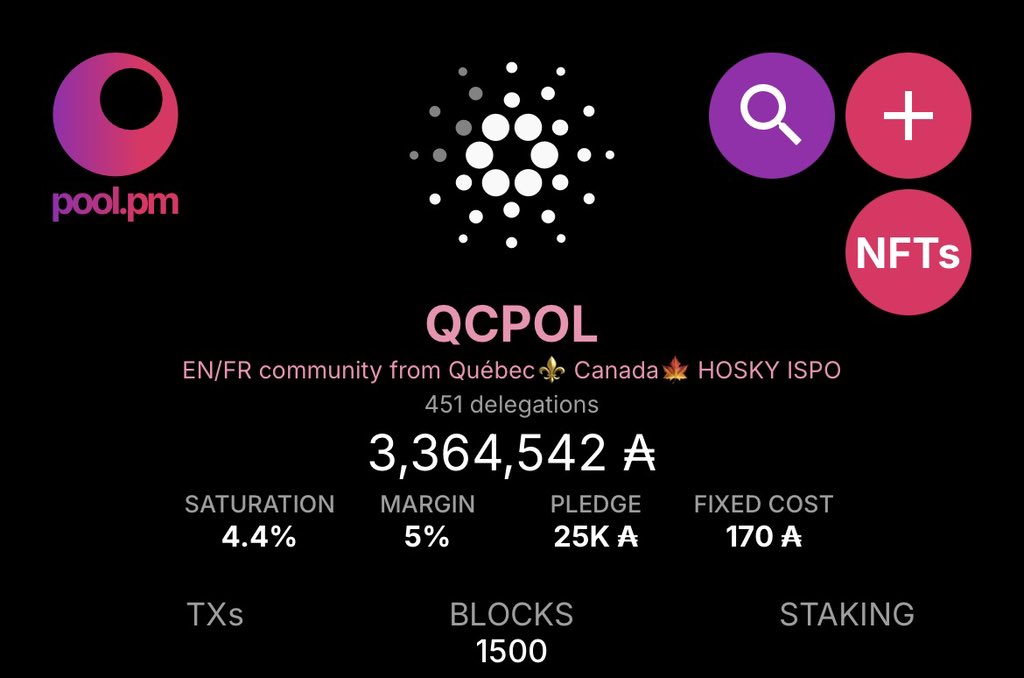 QCPOL Stake Pool 🎾⚜️🇨🇦 | HOSKY Rug Pool tweet media