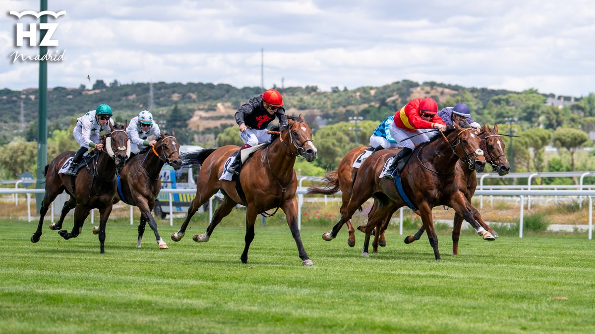 Hipódromo de La Zarzuela tweet media