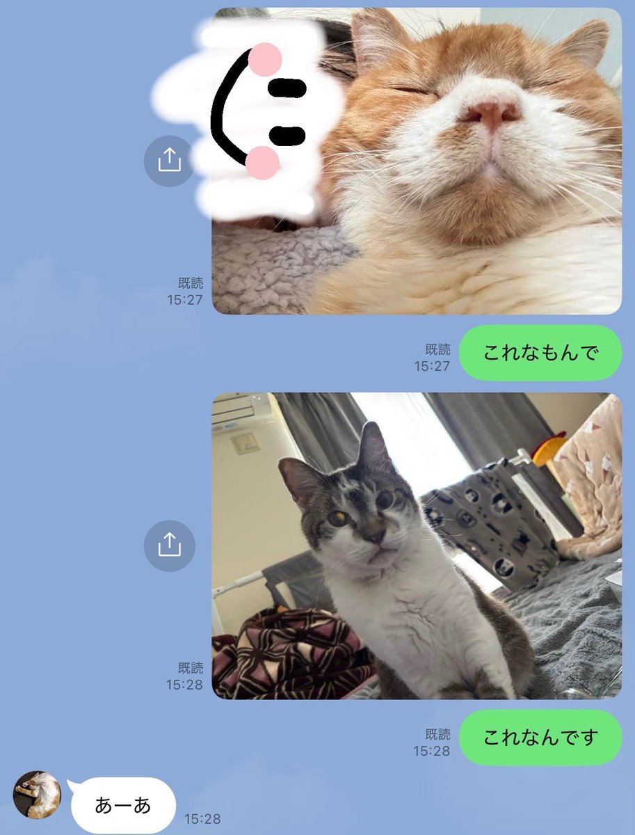 えり tweet media