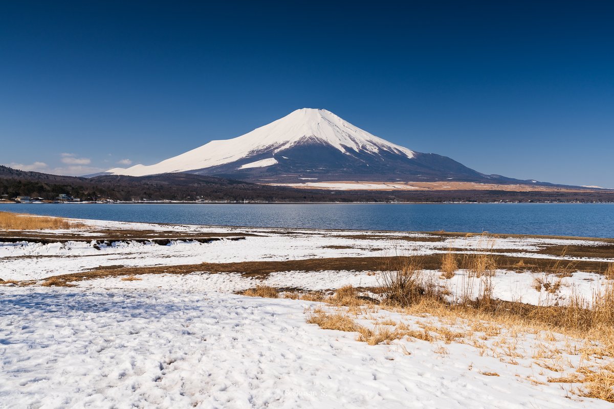 Seksan ・セックサン Photography tweet media