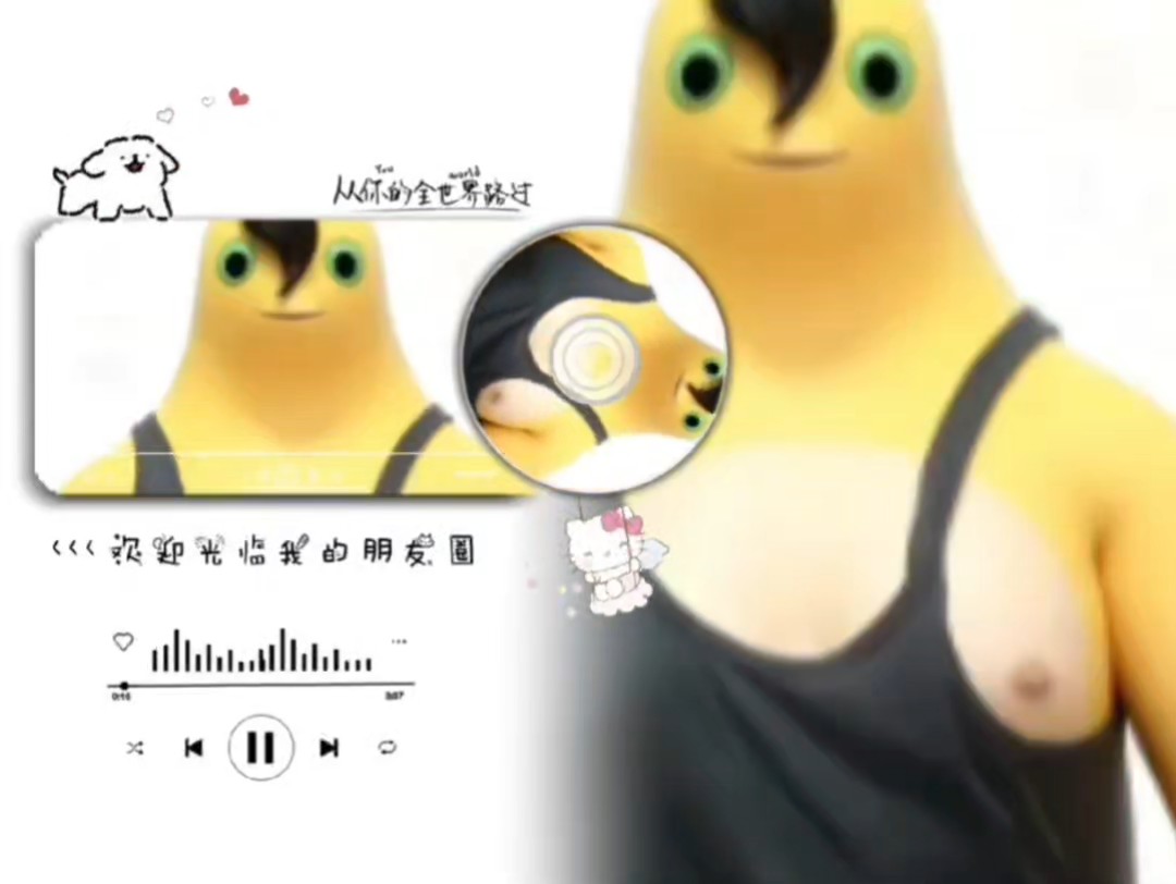 小鱼爱吃饭 tweet media