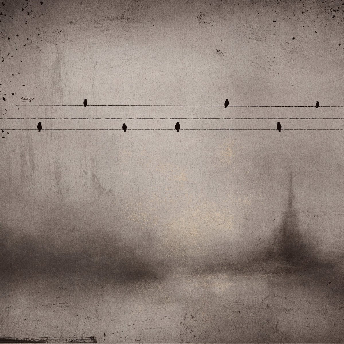 Alina Morrele 🖤 tweet media
