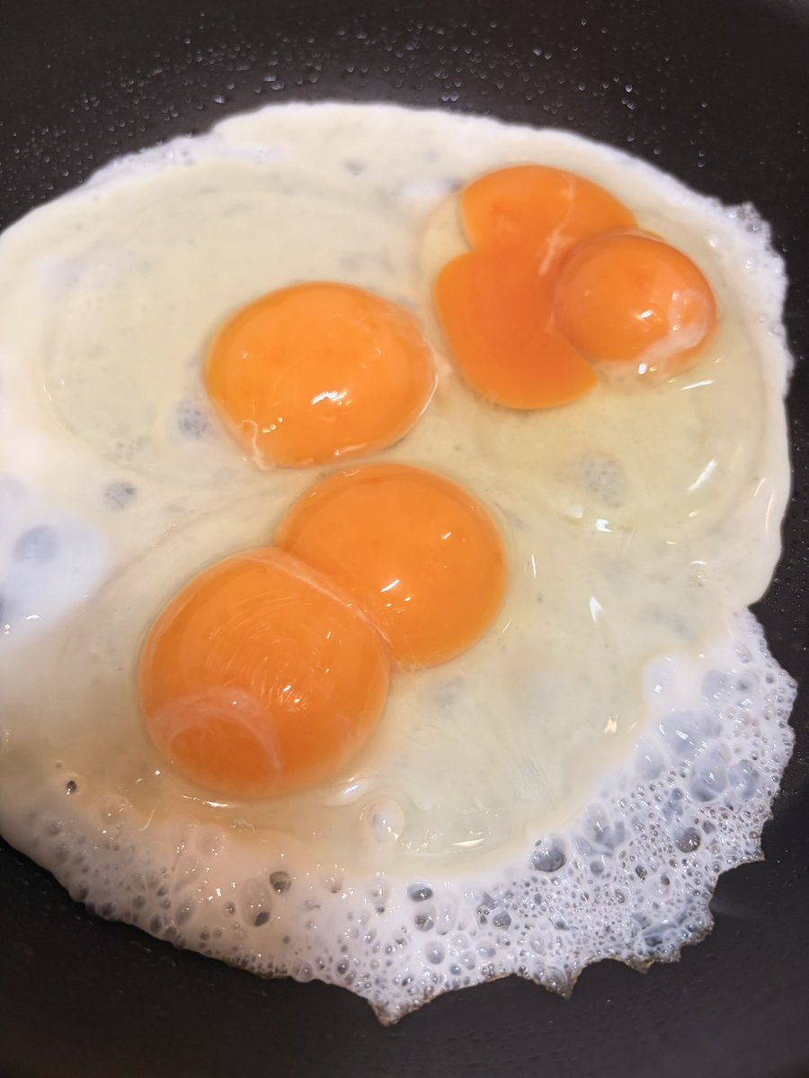 monchi_dqx's tweet photo. Wでたまげたꔛ🥚
得した気分(  ◜ω◝ ) https://t.co/2yHaHvCLir