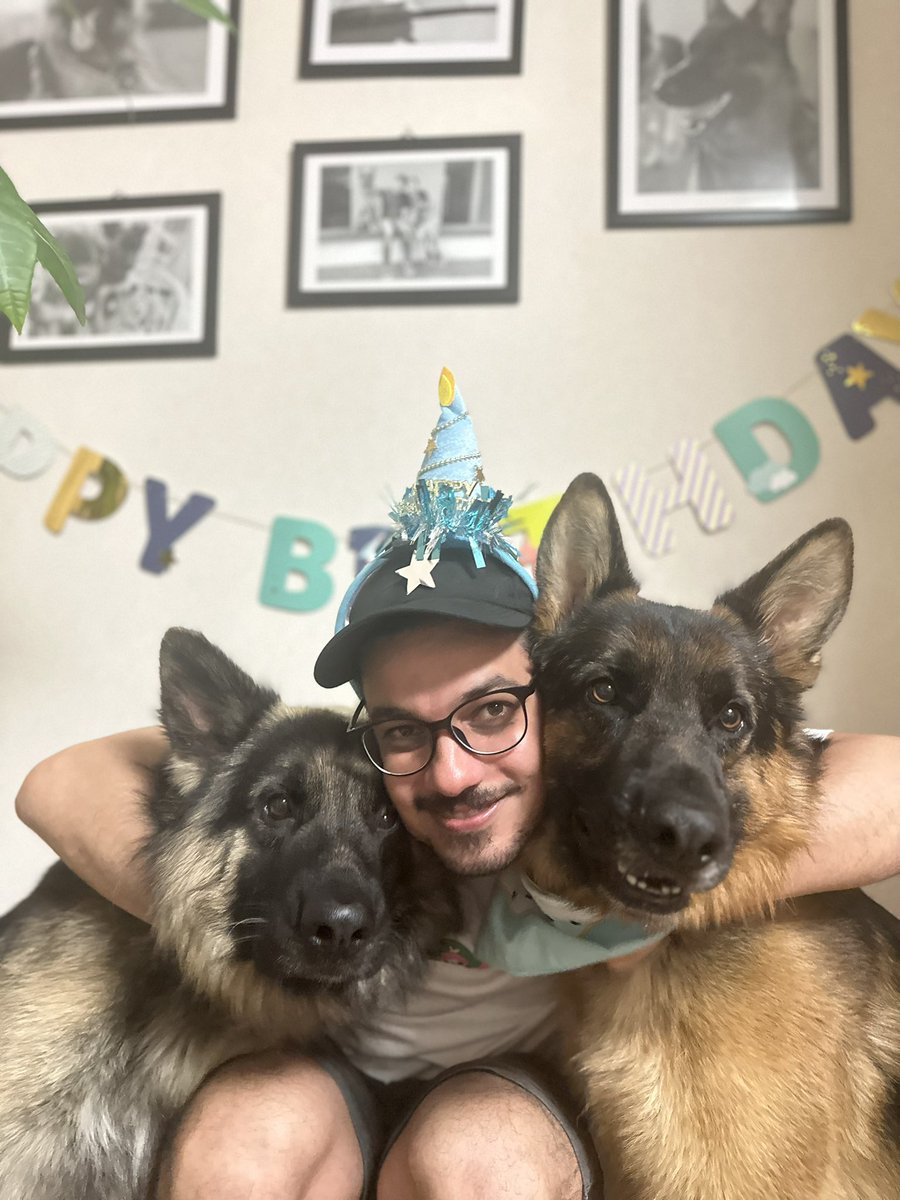 Tobi and Bobi シェパード兄弟犬 tweet media