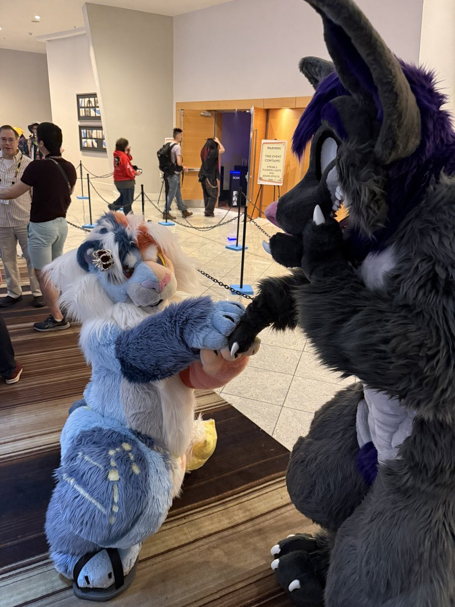 Well this was a first.😱 (Spoiler alert: I said no.😂) #FWA2026