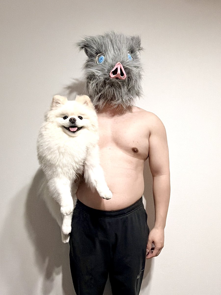 伊之助ボディになるまで毎日腹筋ローラー tweet media