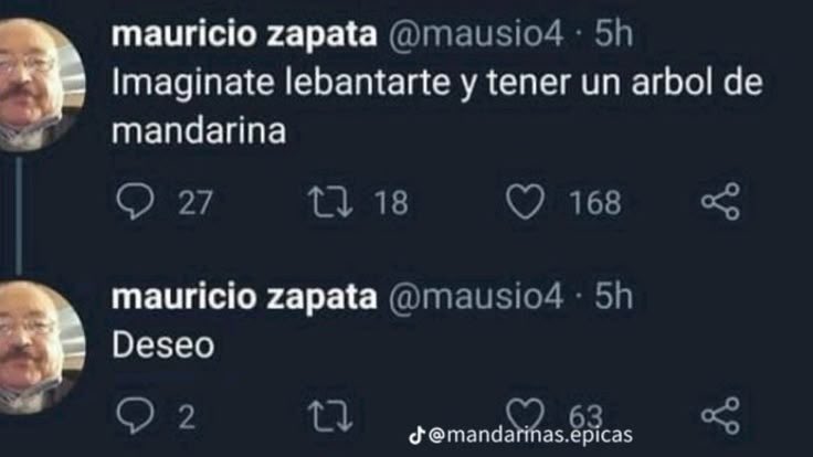 ines⁷ tweet media