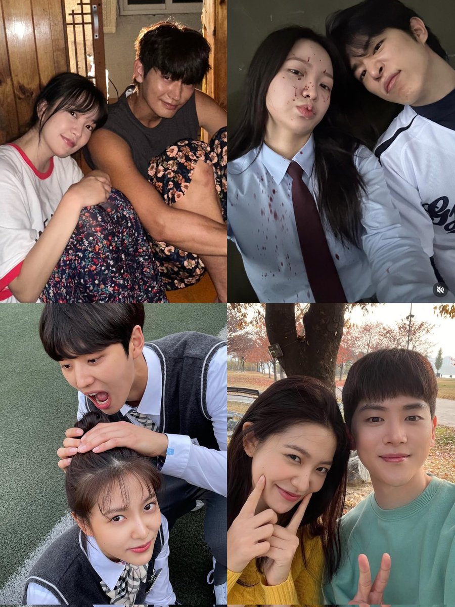 yerm 🐢💜 🤿AZURE SPRING🩵 tweet media