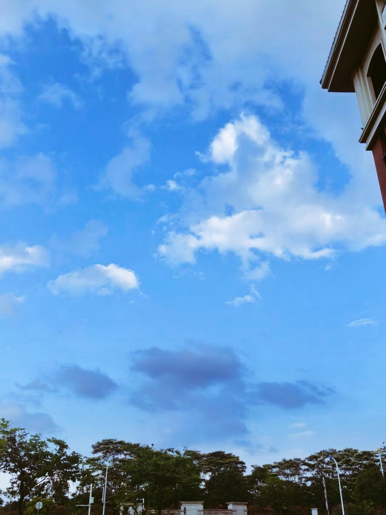野风信子☁ tweet media