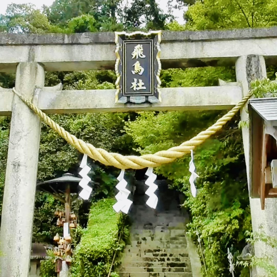 IRISの神社YELL tweet media
