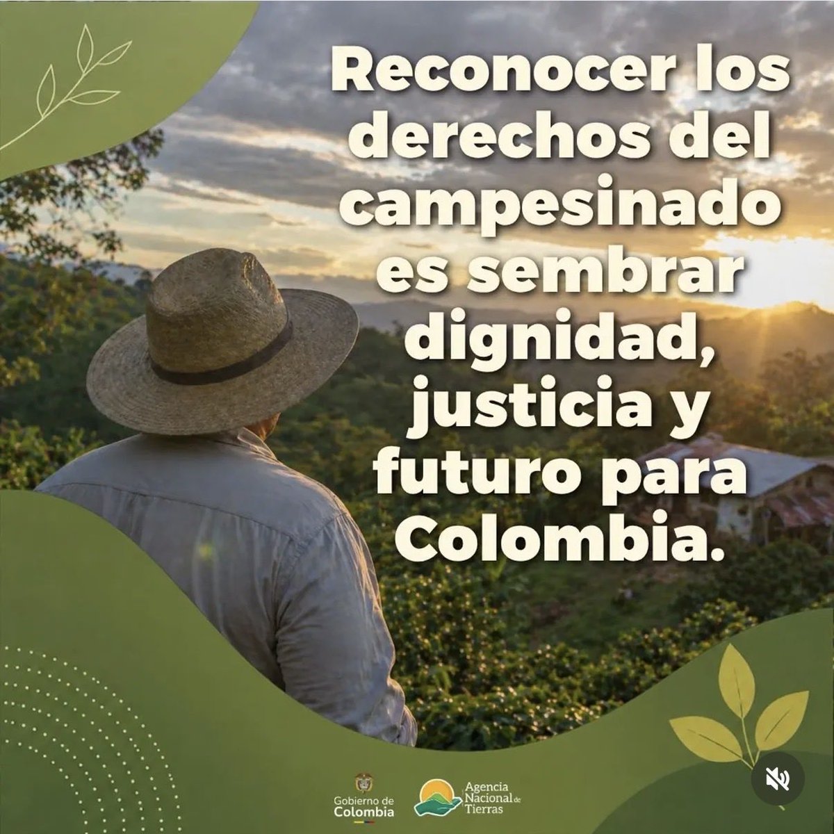 Luis Fernando Quintero Calderón tweet media